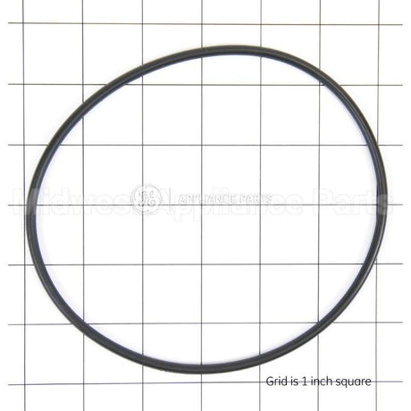 WS03X10054 GE O-Ring