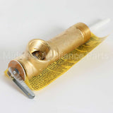 WS06X21923 GE T-P Valve