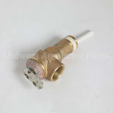 WS06X22864 GE T-P Valve