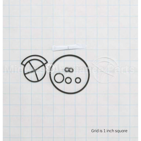 WS35X10005 GE Seal Kit