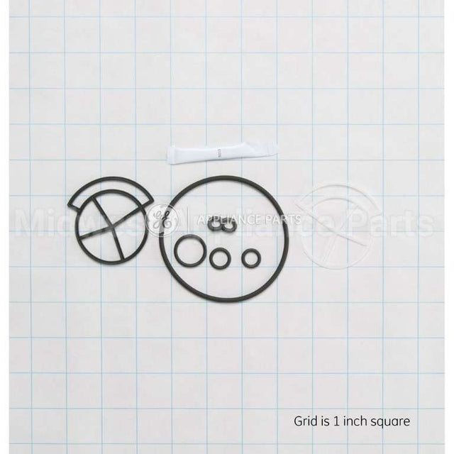 WS35X10005 GE Seal Kit