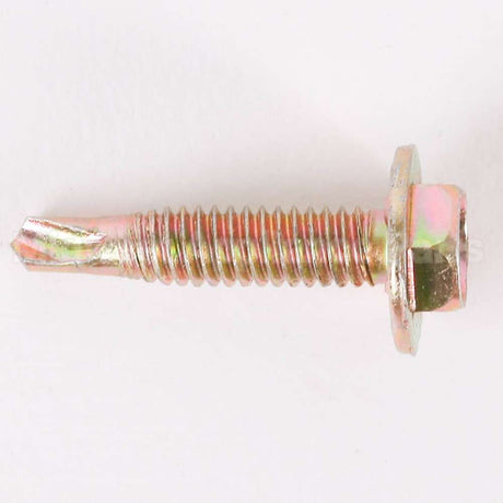 WZ5X246 GE Screw