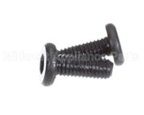X00556 Globe Motor Mounting Screw