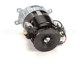 X00558 Globe Motor Replacement Kit