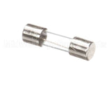 X00570 Globe Control Transformer Fuse