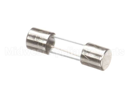 X00570 Globe Control Transformer Fuse