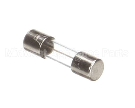 X00570 Globe Control Transformer Fuse