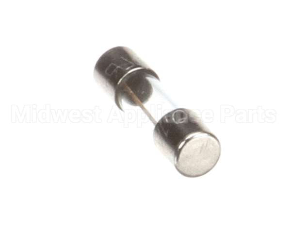 X00570 Globe Control Transformer Fuse