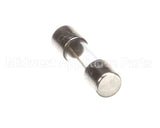 X00570 Globe Control Transformer Fuse