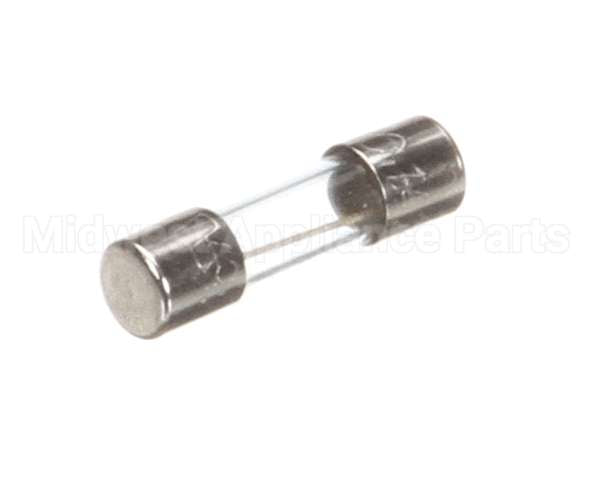 X00570 Globe Control Transformer Fuse