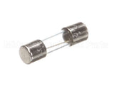 X00570 Globe Control Transformer Fuse