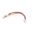 X00675-1 Compatible Globe 4 Wire Harness With Connectors