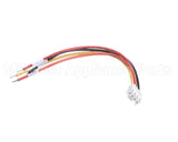 X00675-1 Globe 4 Wire Harness With Connectors