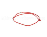 X00676 Globe Wire W/ Quick Connect (J5)