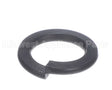 X01372 Globe Split Lock Washer (M12)