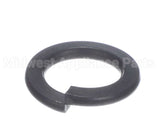 X01372 Globe Split Lock Washer (M12)