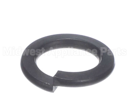 X01372 Globe Split Lock Washer (M12)