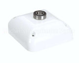 X08058-64 Globe Rear Cover Assembly