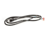 X08079 Globe Power Cord