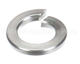 X08102 Globe Lock Washer