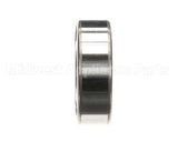 X08104 Globe Bearing