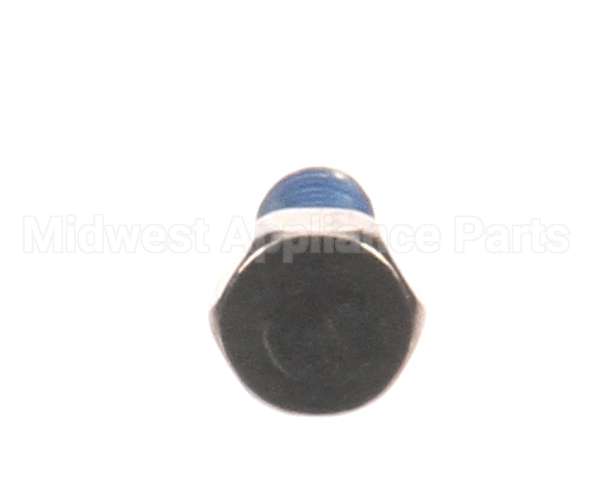 X10083 Globe External Hex Head Screw