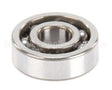 X10117 Globe Bearing