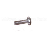 X10134B Globe Screw