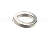 X20207 Globe Lock Washer, M5