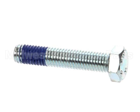 X30039 Globe Screw - Base Shipping