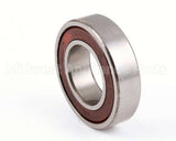 X30043 Globe Bearing