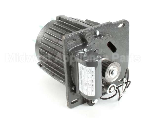 X30068 Globe Motor