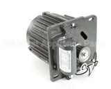 X30068 Globe Motor