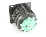 X30068 Globe Motor