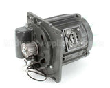 X30068 Globe Motor