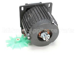 X30068P Globe Motor Sp30P (1.5Hp) 220/60/1