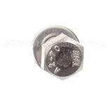 X30101 Globe Flat Washer/Screw Assembly