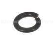 X30198 Globe Washer