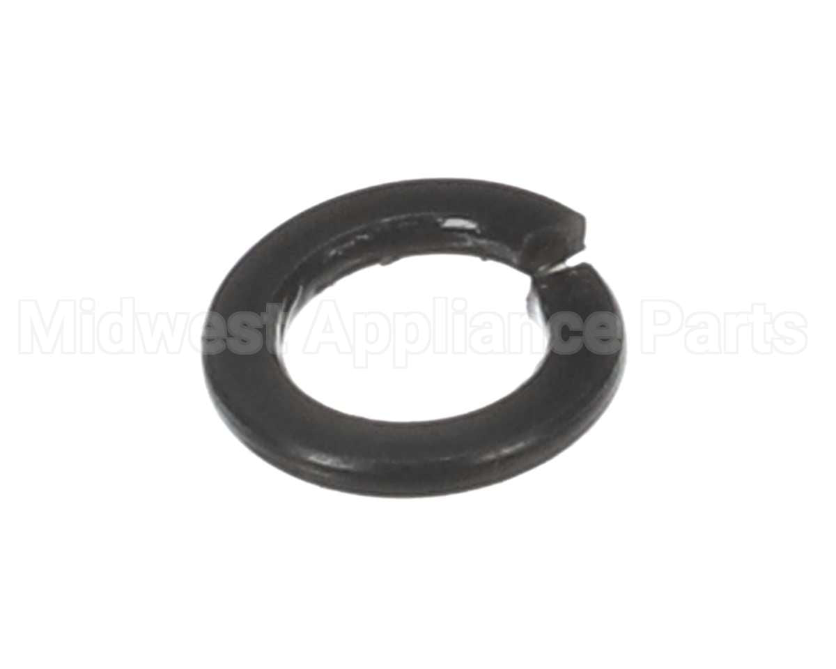 X30198 Globe Washer
