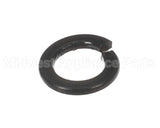 X30198 Globe Washer