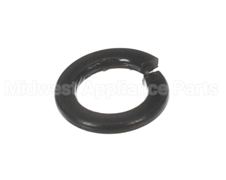 X30198 Globe Washer