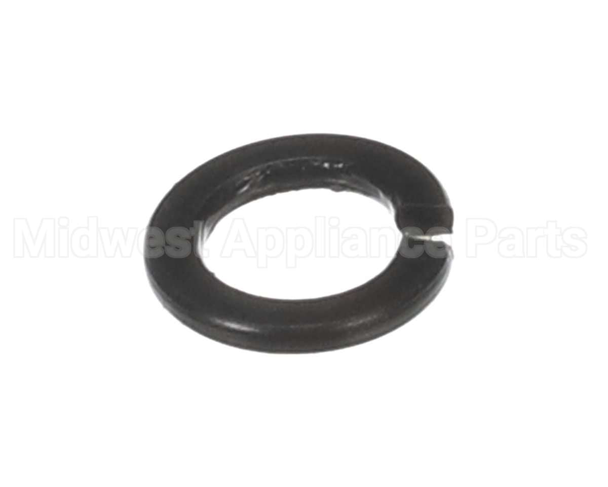 X30198 Globe Washer