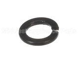 X30198 Globe Washer