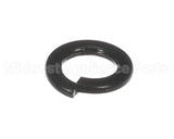 X30198 Globe Washer