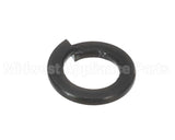 X30198 Globe Washer