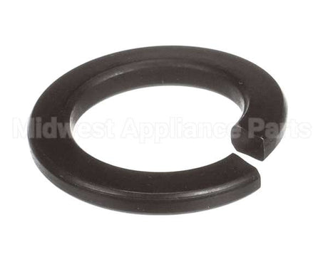 X40111A Globe Washer