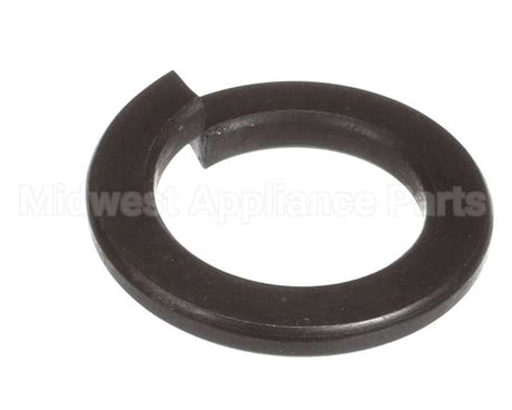 X40111A Globe Washer