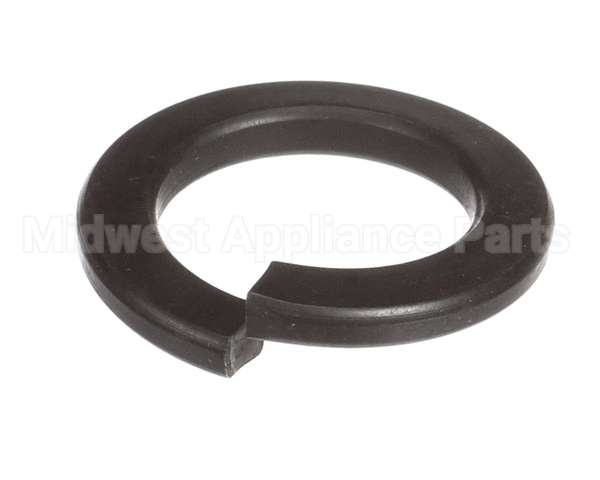 X40111A Globe Washer