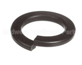X40111A Globe Washer