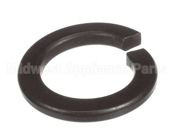 X40111A Globe Washer